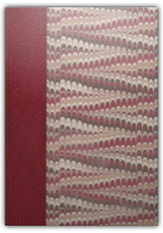 36A60C5A-AC34-466E-9859-E01E94CD79C9-256