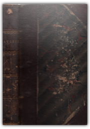 509834C3-53ED-4DE6-827A-A29244585EB5-256