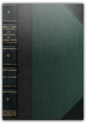 589FDEEC-C558-4D7F-902D-99FBDF918320-256