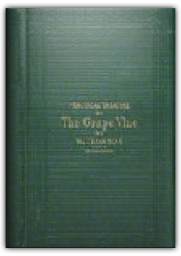 654937BE-2791-4525-B775-DD56BC64192D-256