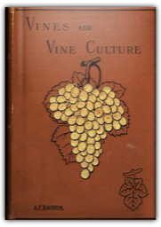 DA9399C9-0CD0-4B3E-9E8B-AC37C781137D-256