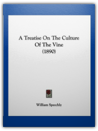 E8311266-46E5-45D7-AF77-B8B123DB3E9D-256